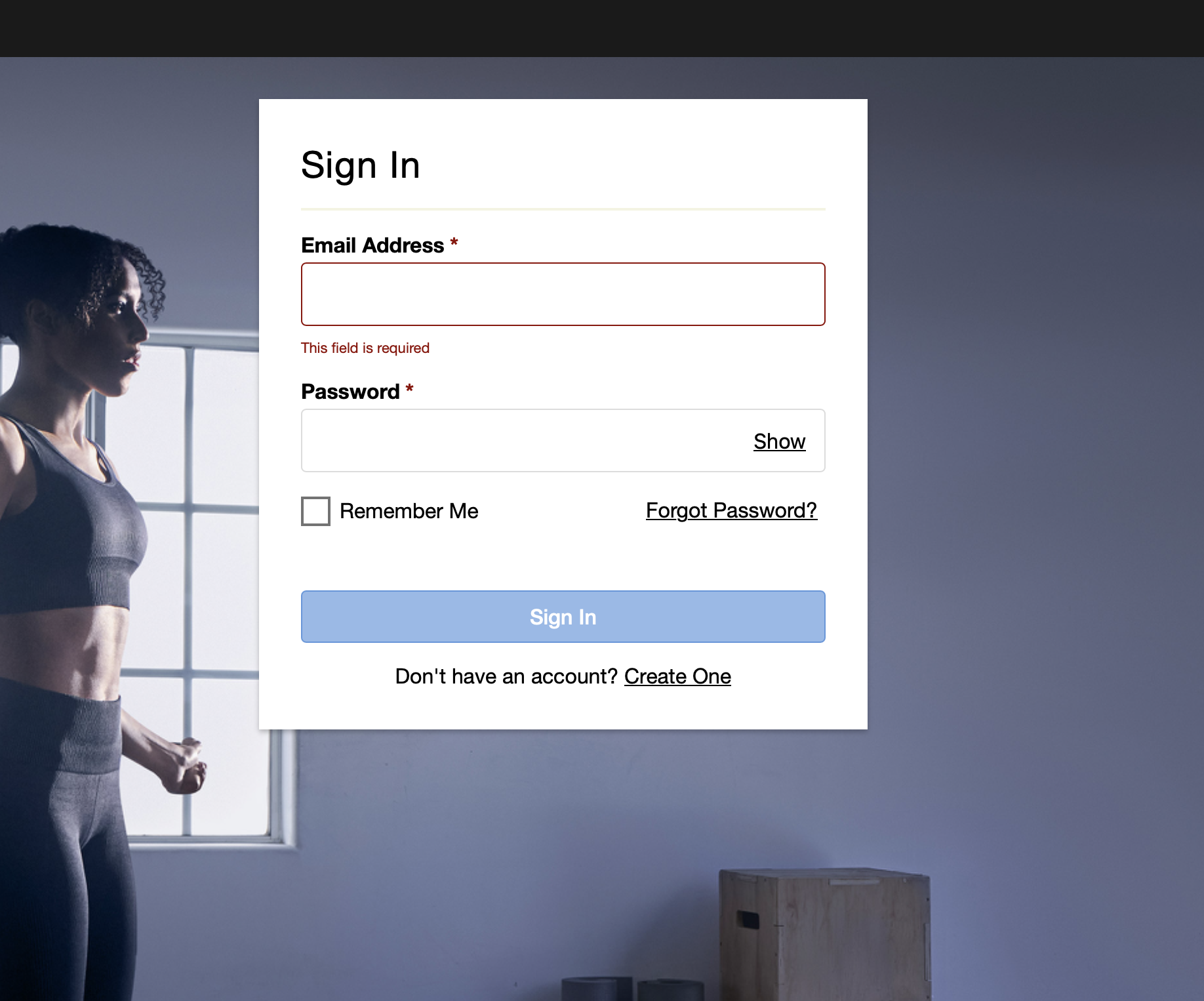 Garmin Sign In screen with email address and password fields
